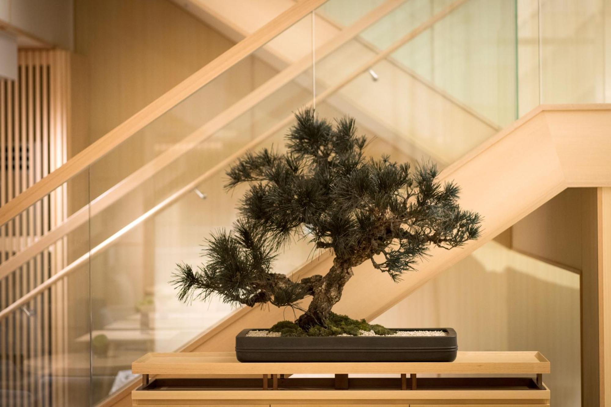 מלון Doubletree By Hilton Kyoto Higashiyama מראה חיצוני תמונה