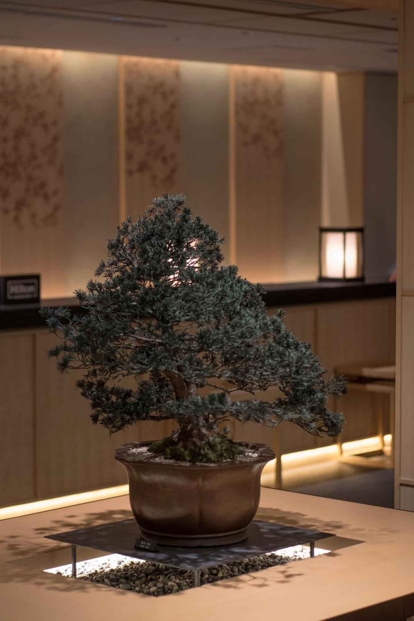 מלון Doubletree By Hilton Kyoto Higashiyama מראה חיצוני תמונה